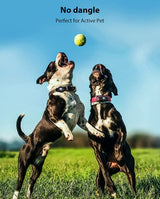 AirTag Holder Fit All Dog Collars Harness, with Pins Fixing Buckle for iPhone, AirTag Pet, Dog and Cat AirTag Mount