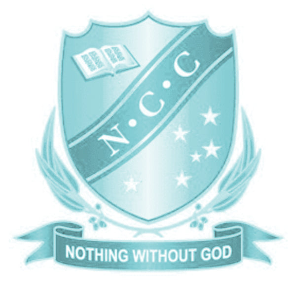 University/anki remote