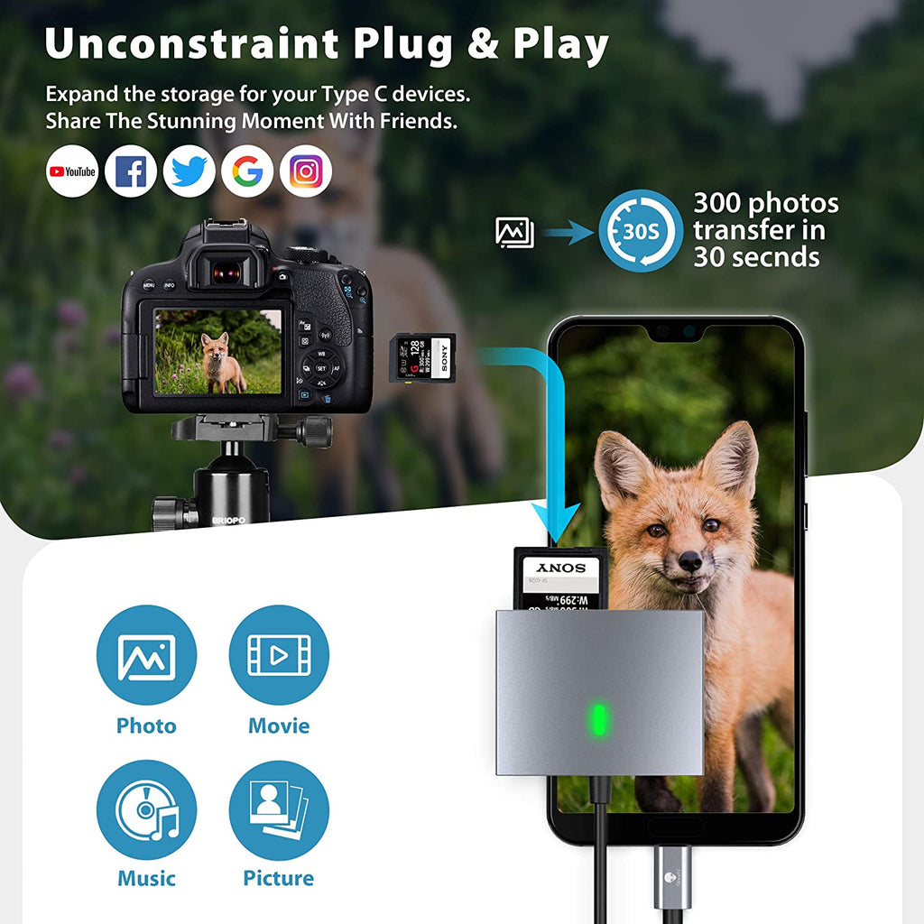 SD/CF Card Reader for USB C